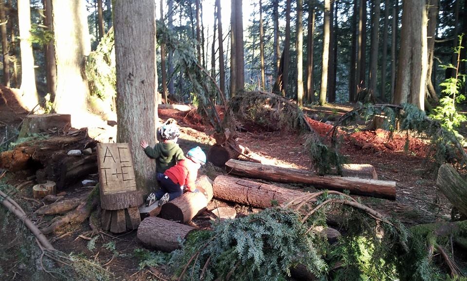 Lynn Canyon Park