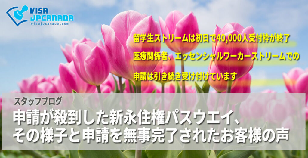 申請が殺到した新永住権パスウェイ、その様子と申請を無事完了されたお客様の声